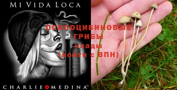 сатива Алзамай
