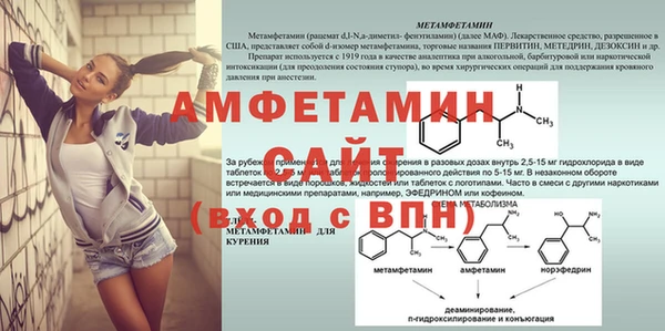 сатива Алзамай
